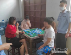 禹州警方查处两起赌博案