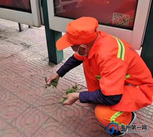 禹州环卫:履职尽责抗击疫情 凝心聚力共克时艰 禹州环卫:履职尽责抗击疫情 凝心聚力共克时艰