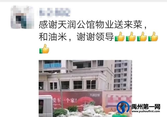 禹州天润公馆贴心守护,爱心“蔬”送-约翰物业一直在行动! 禹州天润公馆贴心守护,爱心“蔬”送-约翰物业一直在行动!