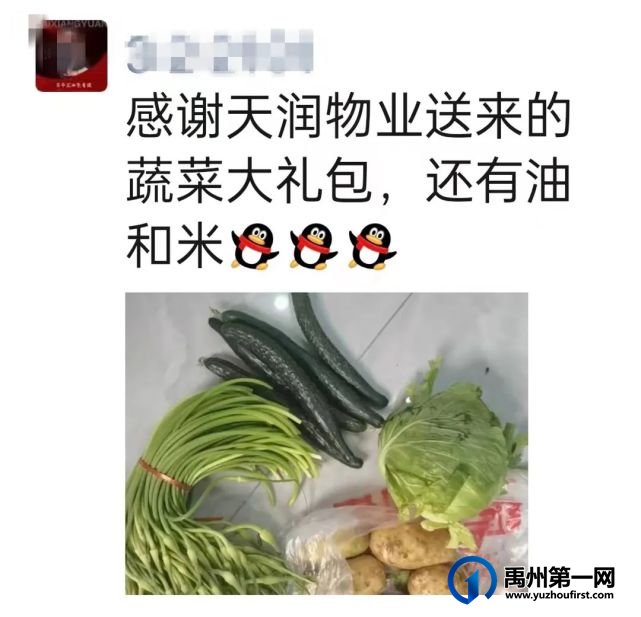 禹州天润公馆贴心守护,爱心“蔬”送-约翰物业一直在行动! 禹州天润公馆贴心守护,爱心“蔬”送-约翰物业一直在行动!