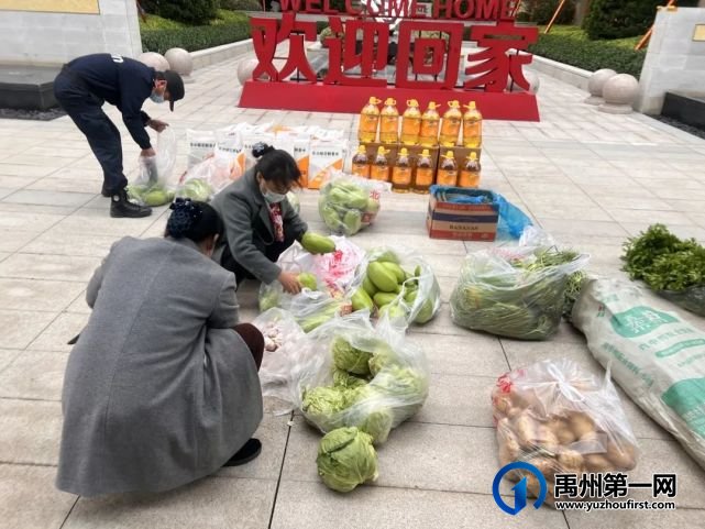 禹州天润公馆贴心守护,爱心“蔬”送-约翰物业一直在行动! 禹州天润公馆贴心守护,爱心“蔬”送-约翰物业一直在行动!