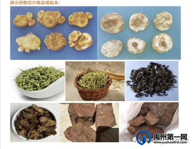 禹州中医药文化博物馆线上展览 禹州中医药文化博物馆线上展览