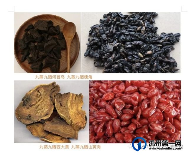 禹州中医药文化博物馆线上展览 禹州中医药文化博物馆线上展览