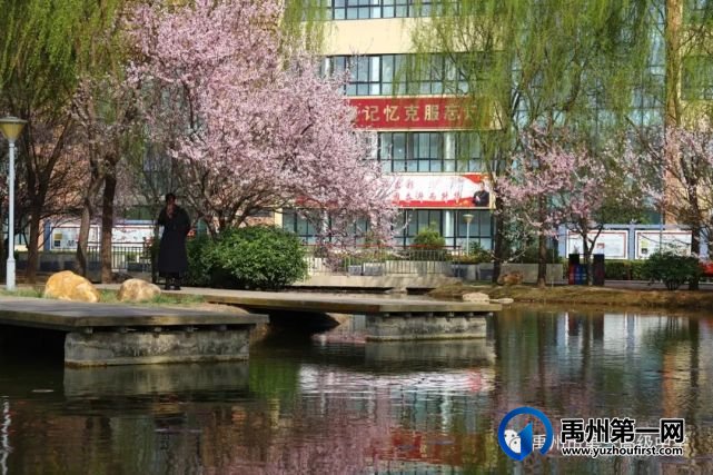 禹州一高 | 高考路上 我们携手并肩——致高三学生家长的一封信 禹州一高 | 高考路上 我们携手并肩——致高三学生家长的一封信