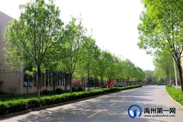禹州一高 | 高考路上 我们携手并肩——致高三学生家长的一封信 禹州一高 | 高考路上 我们携手并肩——致高三学生家长的一封信
