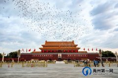 禹州人在北京旅京老禹人
