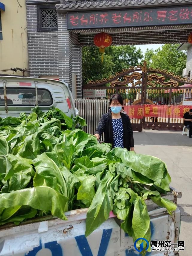 禹州市关协志愿者为敬老院送爱心蔬菜 禹州市关协志愿者为敬老院送爱心蔬菜