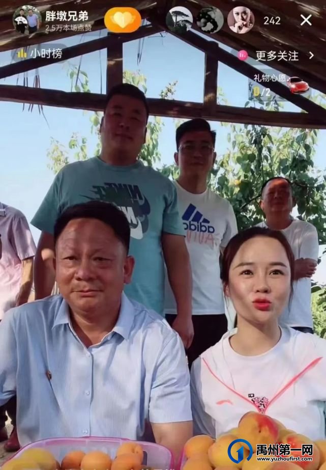 “丰收喜”遇到“卖杏难”鸠山镇闵庄村杏果搭上“电商快速车” “丰收喜”遇到“卖杏难”鸠山镇闵庄村杏果搭上“电商快速车”