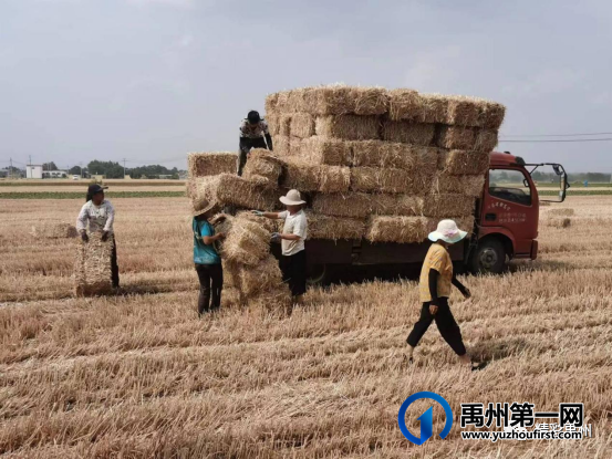 禹州各乡镇已攻克秸秆禁烧难题! 禹州各乡镇已攻克秸秆禁烧难题!