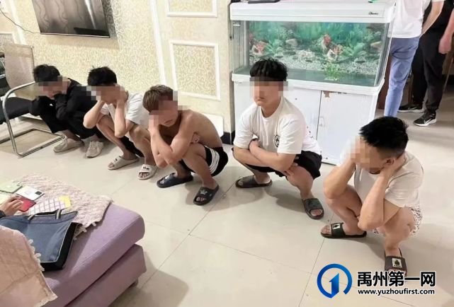 禹州公安抓获7名冒充快递客服诈骗犯罪嫌疑人 禹州公安抓获7名冒充快递客服诈骗犯罪嫌疑人