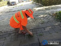 禹州环卫：对标文明城市标准 奋力书写全国文明城市创建“环卫答卷”