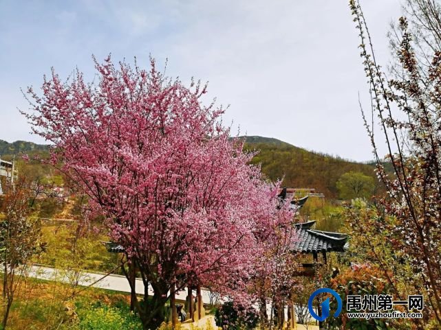仅9.9元即可抢禹州大鸿寨景区门票! 仅9.9元即可抢禹州大鸿寨景区门票!