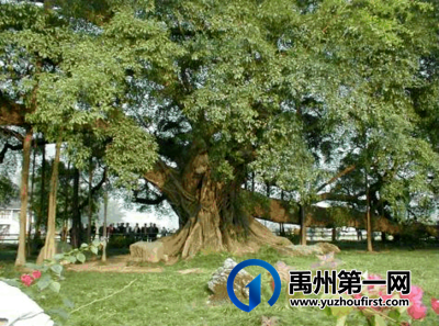美丽乡村我的家 美丽乡村我的家
