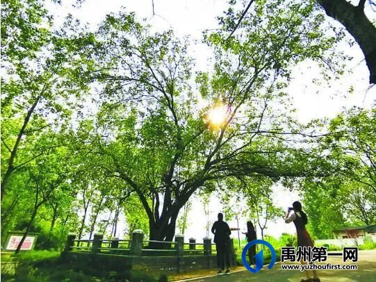 美丽乡村我的家 美丽乡村我的家