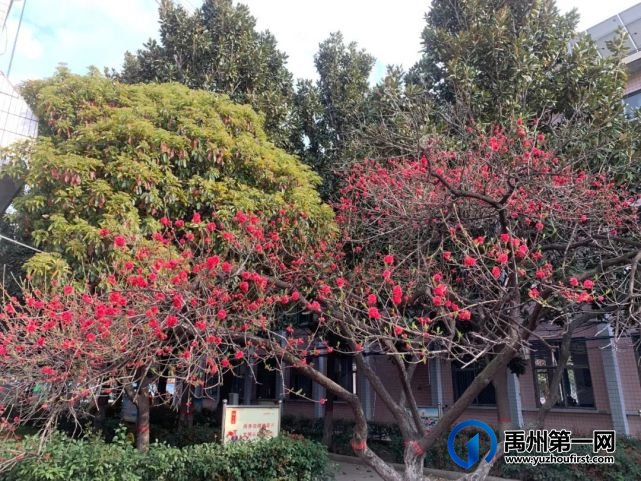 Bye,禹州钧台中心学校!跃入人海,各有风雨灿烂! Bye,禹州钧台中心学校!跃入人海,各有风雨灿烂!