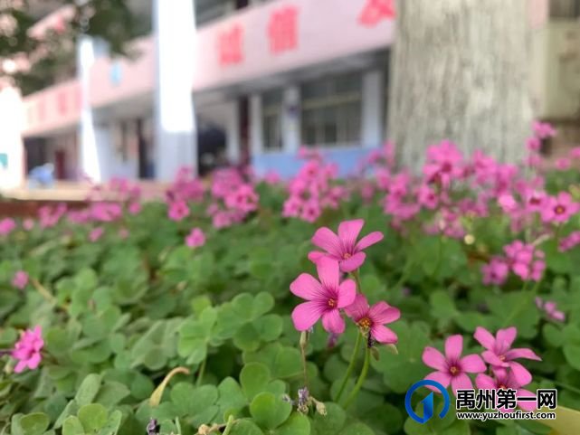 Bye,禹州钧台中心学校!跃入人海,各有风雨灿烂! Bye,禹州钧台中心学校!跃入人海,各有风雨灿烂!