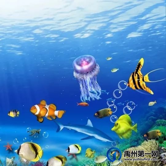 禹州“海洋馆”开放在即,万张门票免费领! 禹州“海洋馆”开放在即,万张门票免费领!