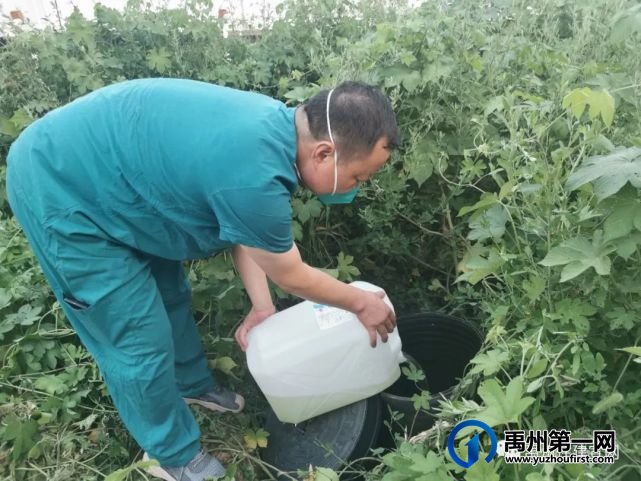 住建局“光 荣 榜” 致敬,疫情防控中禹州住建的志愿者们 住建局“光 荣 榜” 致敬,疫情防控中禹州住建的志愿者们