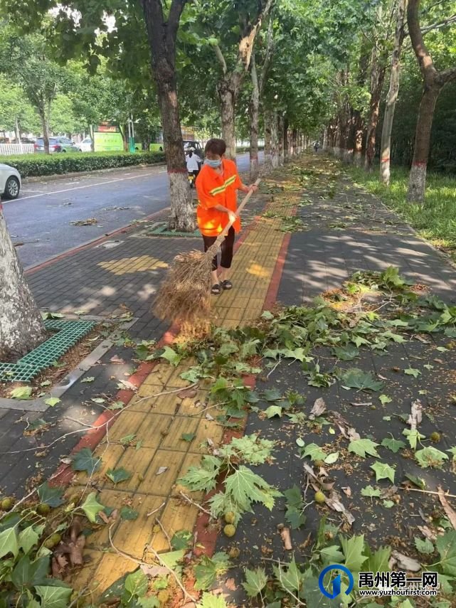 禹州环卫:打造洁净城市环境 服务项目观摩活动 禹州环卫:打造洁净城市环境 服务项目观摩活动