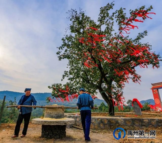 生态宜居美丽乡村—禹州市磨街乡刘门村 生态宜居美丽乡村—禹州市磨街乡刘门村
