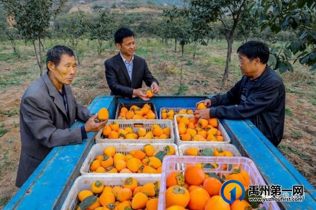 生态宜居美丽乡村—禹州市磨街乡刘门村 生态宜居美丽乡村—禹州市磨街乡刘门村