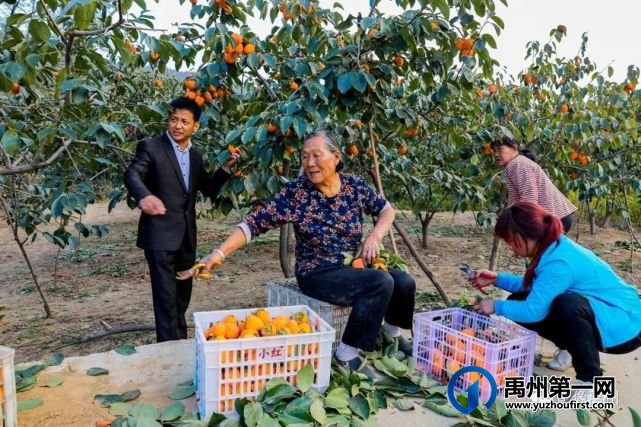生态宜居美丽乡村—禹州市磨街乡刘门村 生态宜居美丽乡村—禹州市磨街乡刘门村