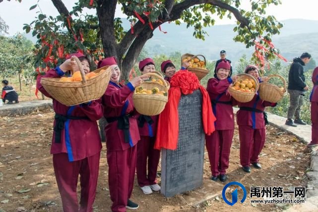 生态宜居美丽乡村—禹州市磨街乡刘门村 生态宜居美丽乡村—禹州市磨街乡刘门村
