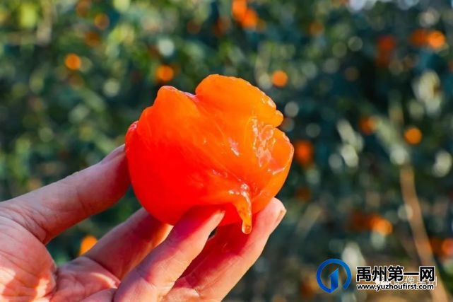 生态宜居美丽乡村—禹州市磨街乡刘门村 生态宜居美丽乡村—禹州市磨街乡刘门村