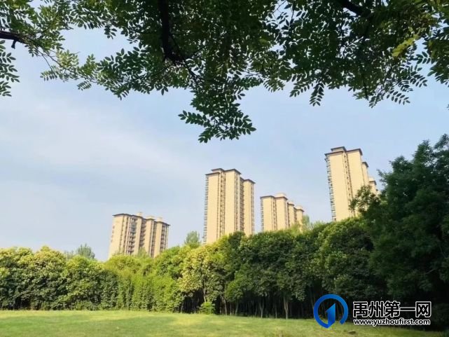 不负众望 禹州林溪尚院新品热势加推! 不负众望 禹州林溪尚院新品热势加推!