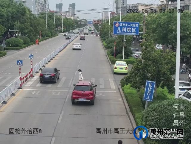 禹州8月份交警曝光一批违规车辆 禹州8月份交警曝光一批违规车辆