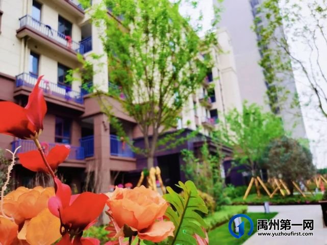禹州恒达金郡 | 恒达30载,匠心精筑600亩封面大城 禹州恒达金郡 | 恒达30载,匠心精筑600亩封面大城