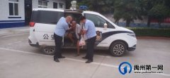 高温酷暑老人走失 民警暖心救助