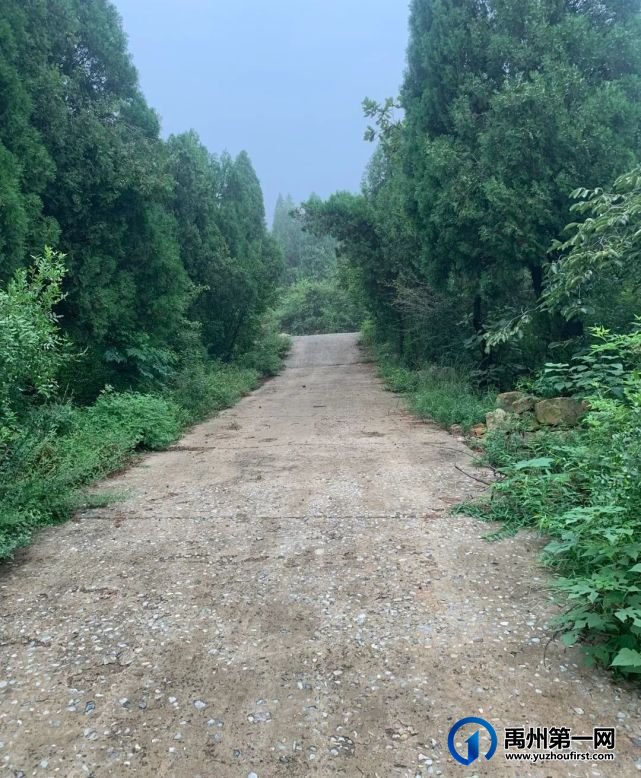 禹州市磨街乡大涧村旅游资源介绍之华夏植物群地质公园、大风口、牛头山 禹州市磨街乡大涧村旅游资源介绍之华夏植物群地质公园、大风口、牛头山