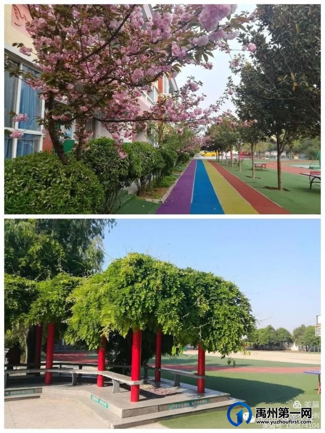 禹州市春蕾学校2022年秋季开学通知 禹州市春蕾学校2022年秋季开学通知
