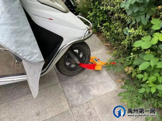 暂扣车辆!禹州交警重拳出击,严查未安装号牌电动车! 暂扣车辆!禹州交警重拳出击,严查未安装号牌电动车!