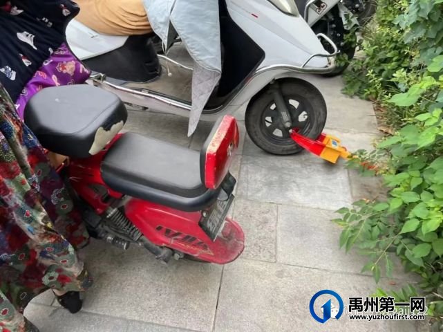 暂扣车辆!禹州交警重拳出击,严查未安装号牌电动车! 暂扣车辆!禹州交警重拳出击,严查未安装号牌电动车!