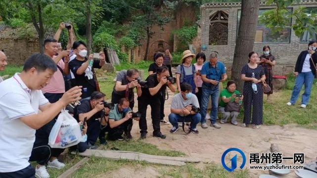 “乡愁禹州”2022禹州市文旅摄影采风活动完美收官 “乡愁禹州”2022禹州市文旅摄影采风活动完美收官