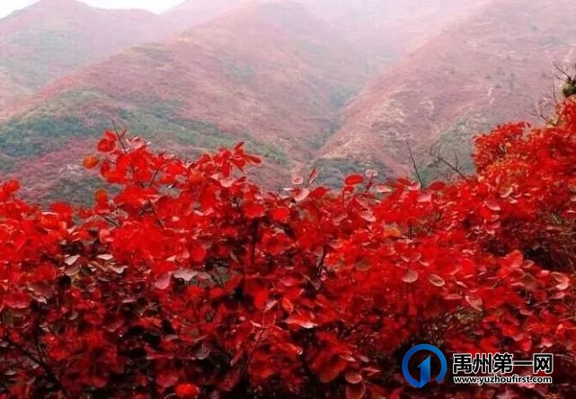 禹州大鸿寨九月钜惠,震撼来袭! 禹州大鸿寨九月钜惠,震撼来袭!