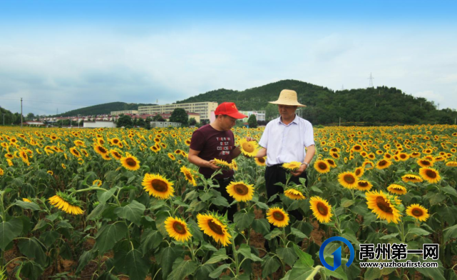 禹州大涧村、陈南村、无梁镇上榜河南省乡村旅游特色村、生态旅游示范镇 禹州大涧村、陈南村、无梁镇上榜河南省乡村旅游特色村、生态旅游示范镇