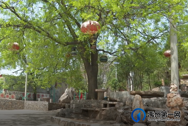 禹州这个乡上了央视新闻联播,为啥? 禹州这个乡上了央视新闻联播,为啥?