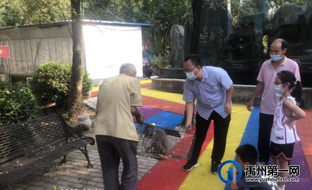 禹州市林业发展中心成功救助国家二级重点保护动物 禹州市林业发展中心成功救助国家二级重点保护动物