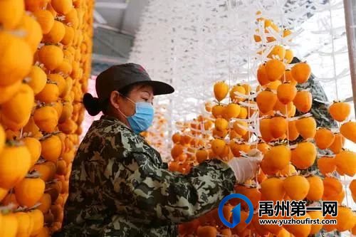 中原柿乡魅力刘门——2022年乡村康养旅游示范村创建单位之二 中原柿乡魅力刘门——2022年乡村康养旅游示范村创建单位之二