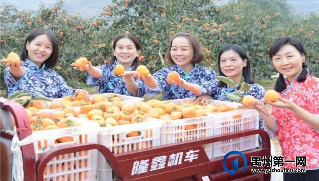 中原柿乡魅力刘门——2022年乡村康养旅游示范村创建单位之二 中原柿乡魅力刘门——2022年乡村康养旅游示范村创建单位之二