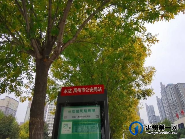 带你领略不一样的禹州公安警营美(机关篇) 带你领略不一样的禹州公安警营美(机关篇)