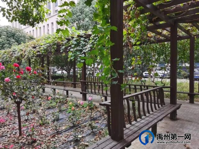 带你领略不一样的禹州公安警营美(机关篇) 带你领略不一样的禹州公安警营美(机关篇)