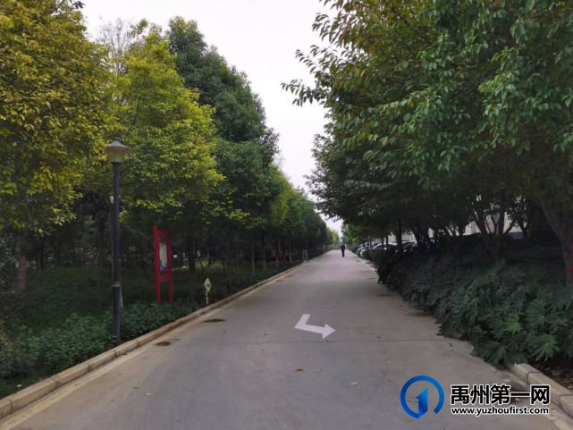 带你领略不一样的禹州公安警营美(机关篇) 带你领略不一样的禹州公安警营美(机关篇)