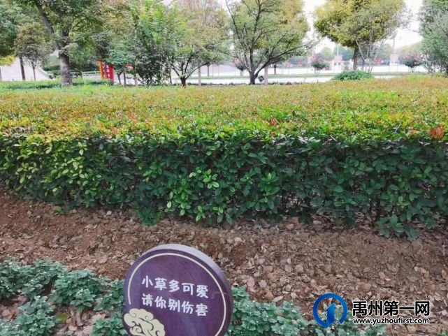 带你领略不一样的禹州公安警营美(机关篇) 带你领略不一样的禹州公安警营美(机关篇)