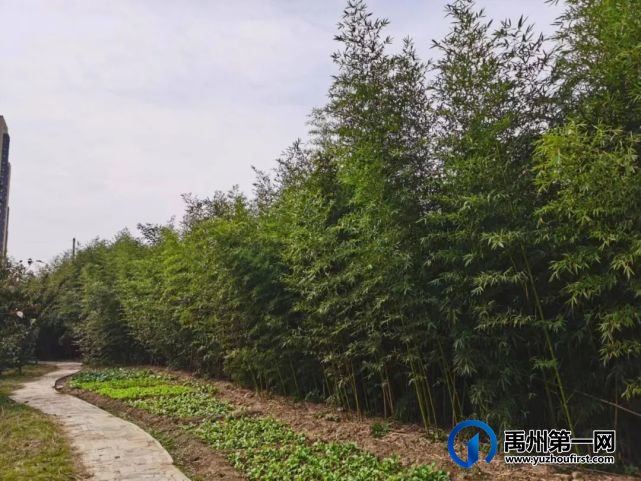 带你领略不一样的禹州公安警营美(机关篇) 带你领略不一样的禹州公安警营美(机关篇)