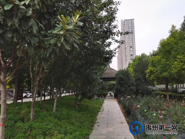 带你领略不一样的禹州公安警营美(机关篇) 带你领略不一样的禹州公安警营美(机关篇)