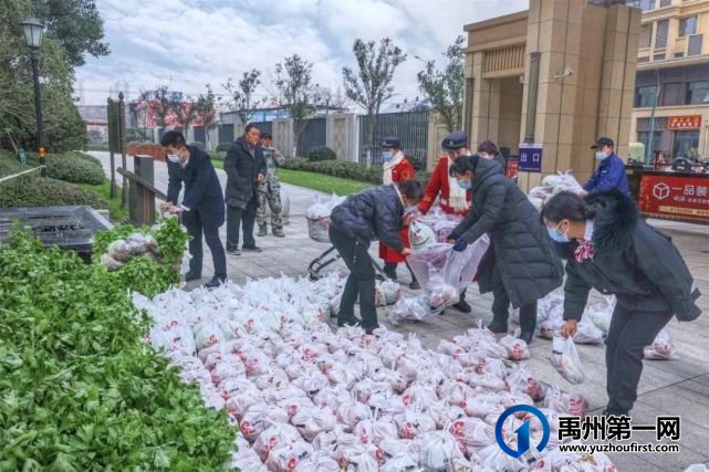 “蔬菜滞销,爱心助农,关爱业主”信友禹州在行动 “蔬菜滞销,爱心助农,关爱业主”信友禹州在行动